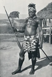 Egy zulu főnök, 1902
