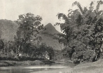 Adamspik Maskeliya környékéről, 1926