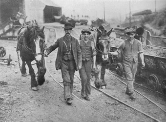 Az elszámolás után: Bányászok viszik vissza póniikat a gödörbe, 1915