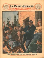 Csodálatos óriási cékla, 1929.