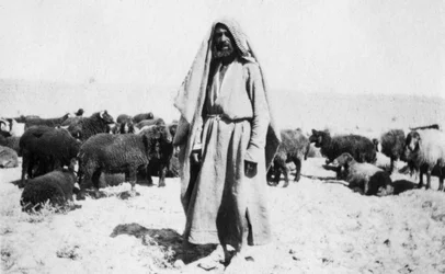 Arab juhász, Kazimain környéke, Irak, 1917-1919