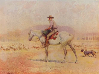 Ausztrál juhász, 1924