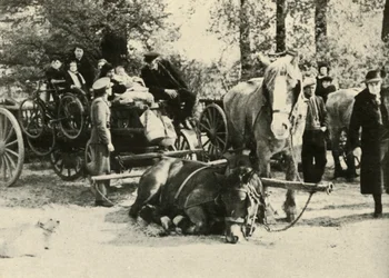 Belga menekültek az úton, 1939-1940, 1941.