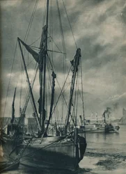 A hidak alatt, 1936