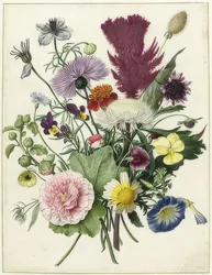 Virágcsokor. 1680
