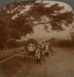 Őslakosok által rajzolt taxik egy lakóúton, Durban, Dél-Afrika, 1900. sz