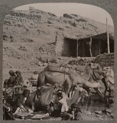 Tevevonat Jerashból, öntözés Elizeus kútjánál, 1900