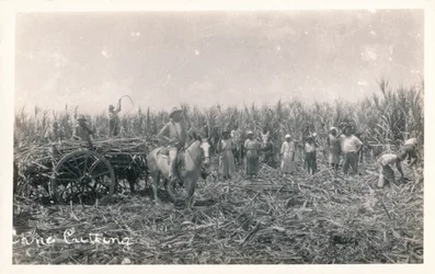 nádvágás, 1930