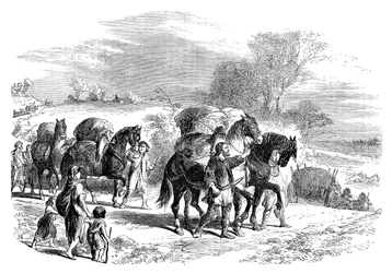 Kenyeret hordva Londonba teherhordó lovakon, 1895