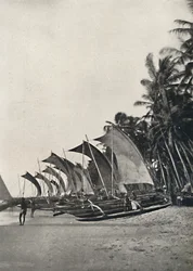 Ceyloni kitámasztós tengeri halászhajók, 1926