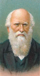 Charles Darwin 1809-1882, brit természettudós, 1924