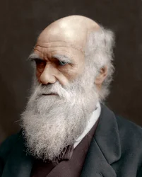 Charles Darwin, brit természettudós, 1878