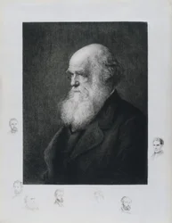 Charles Darwin angol természettudós, 1860-as évek