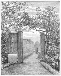 Charles Darwin a homokos sétán a Down House-ban, 1870 1887
