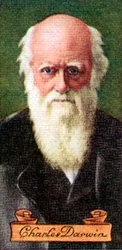 Charles Darwin, egy sor cigarettakártya, 1935