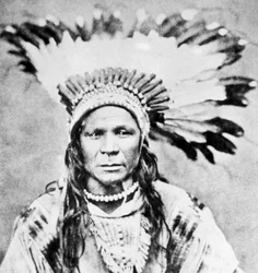 Crow Fly Fly High, c1885-90