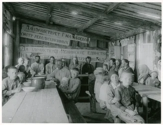 A mezőgazdaság kommunista kollektivizálása, Szovjetunió, 1930-as évek eleje