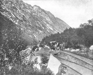 Cottonwood Canyon, Utah, USA, 1900.