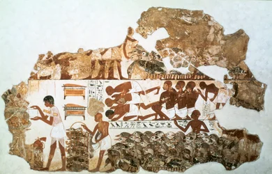 A libák számolása: falfestmény töredéke Nebamun sírjából, Théba, Egyiptom, Kr.e. 1350