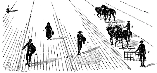 Vetésforgó: kukoricavetés és boronálás, 1855