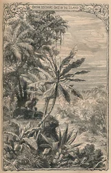 Crusoe kecskéket fedez fel a szigeten, 1870
