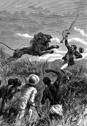 David Livingstone, skót misszionárius és afrikai felfedező, oroszlán megtámadása, 1860