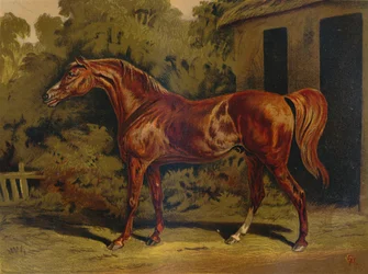 Eclipse, 1879.