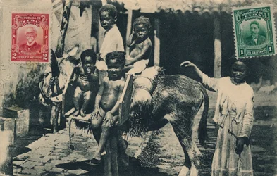 LA reneszánsz. Pena és Ca. – Sárkányok és Zulueta – Havanna, 1913