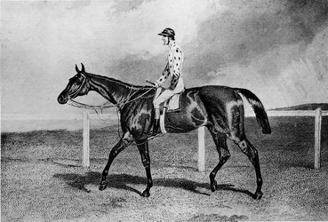 Fandango, 19. század, 1911