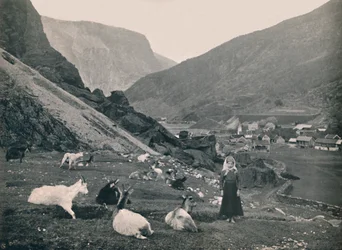 Flaam, 1914.