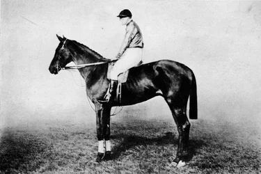 Repülő Róka, 1896-1911, 1911