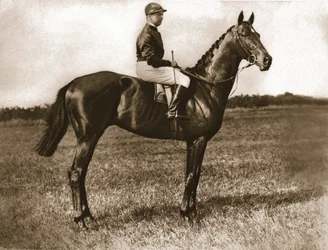 Georges Stern a Sunstar című filmben, 1911.