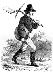 Gold Miner, Kalifornia, 19. század