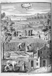 Szüret, 1775