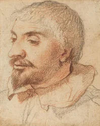 Egy ember feje, c. 1600.