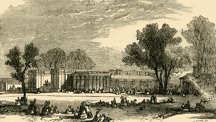 A Carnivora házai, 1876.
