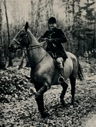 Vaddisznó vadászata Franciaországban, 1927, 1945.