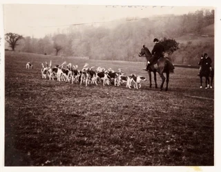 Vadász és vadászkutyák, 1905