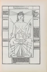 Illusztráció Johannes de Ketham Fasciculo di medicina című művéből, 1493.