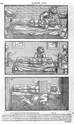 Illusztráció: Avicenna, 1556