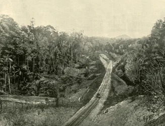A Blackall-hegységben, 1901.