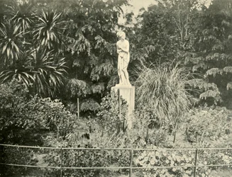 A Fitzroy Gardensben, Melbourne, 1901.