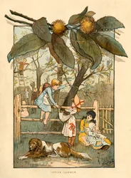 Indiai nyár, 1883.