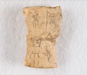 Feliratos csonttöredék orákulum csont, késői Shang-dinasztia, kb. 1300-1050 ie.