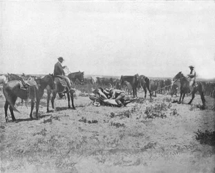 Egy márka vizsgálata a Prairies-en, USA, c1900.