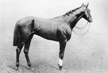 Dzsidda, 1895-1909, 1911