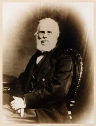 John Stringfellow, angol úttörő repülő, 1880 körül