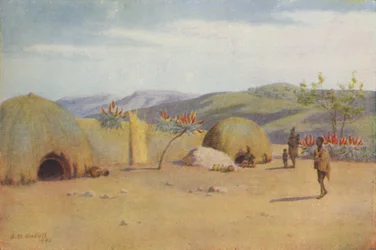 Kaffir gyöngy, 1924