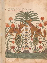 Kalila Upbraiding Dimna, Folio from a Kalila wa Dimna, 18. század.