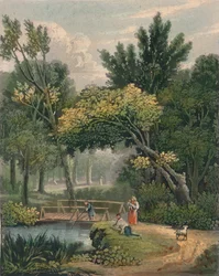 Lambert, 19. század